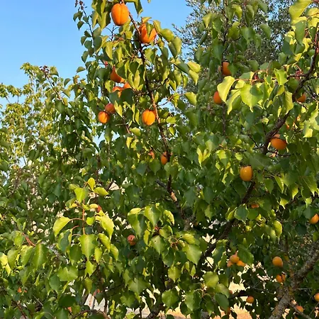Trullo Claf Ostuni