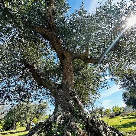 Trullo Claf Ostuni